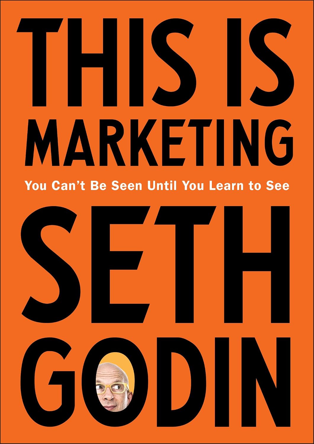 This Is Marketing: You Can't Be Seen Until You Learn to See (English Edition) baixar o livro de graça