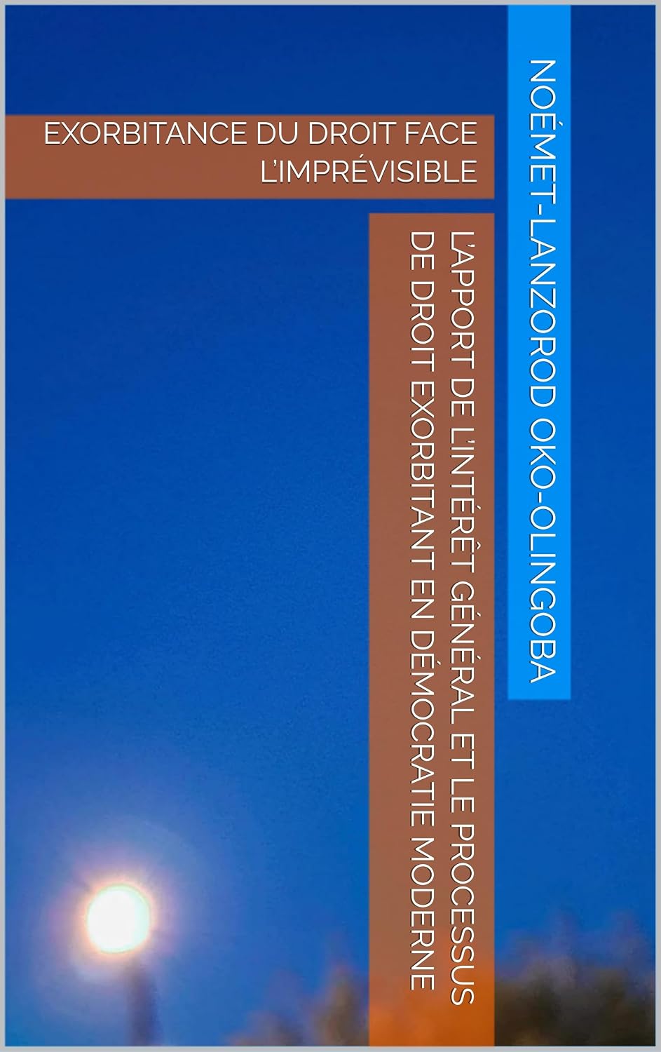 L’APPORT DE L’INTÉRÊT GÉNÉRAL ET LE PROCESSUS DE DROIT EXORBITANT EN DÉMOCRATIE MODERNE : EXORBITANCE DU DROIT FACE L’IMPRÉVISIBLE (French Edition)