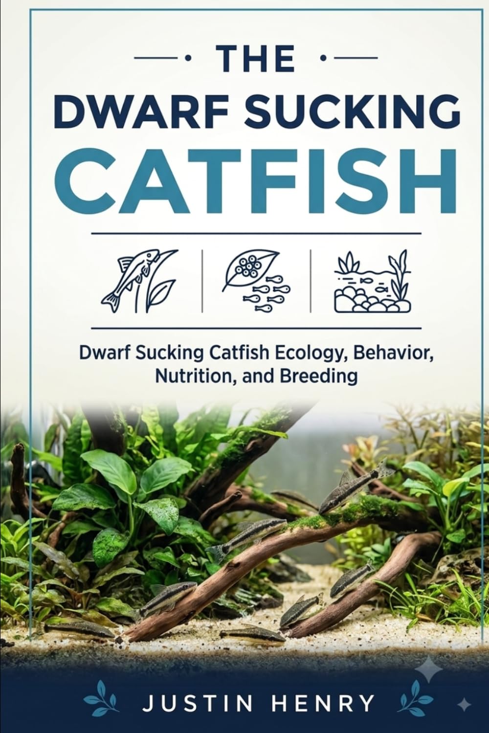 Dwarf Sucking Catfish: Dwarf Sucking Catfish Ecology, Behavior, Nutrition, and Breeding