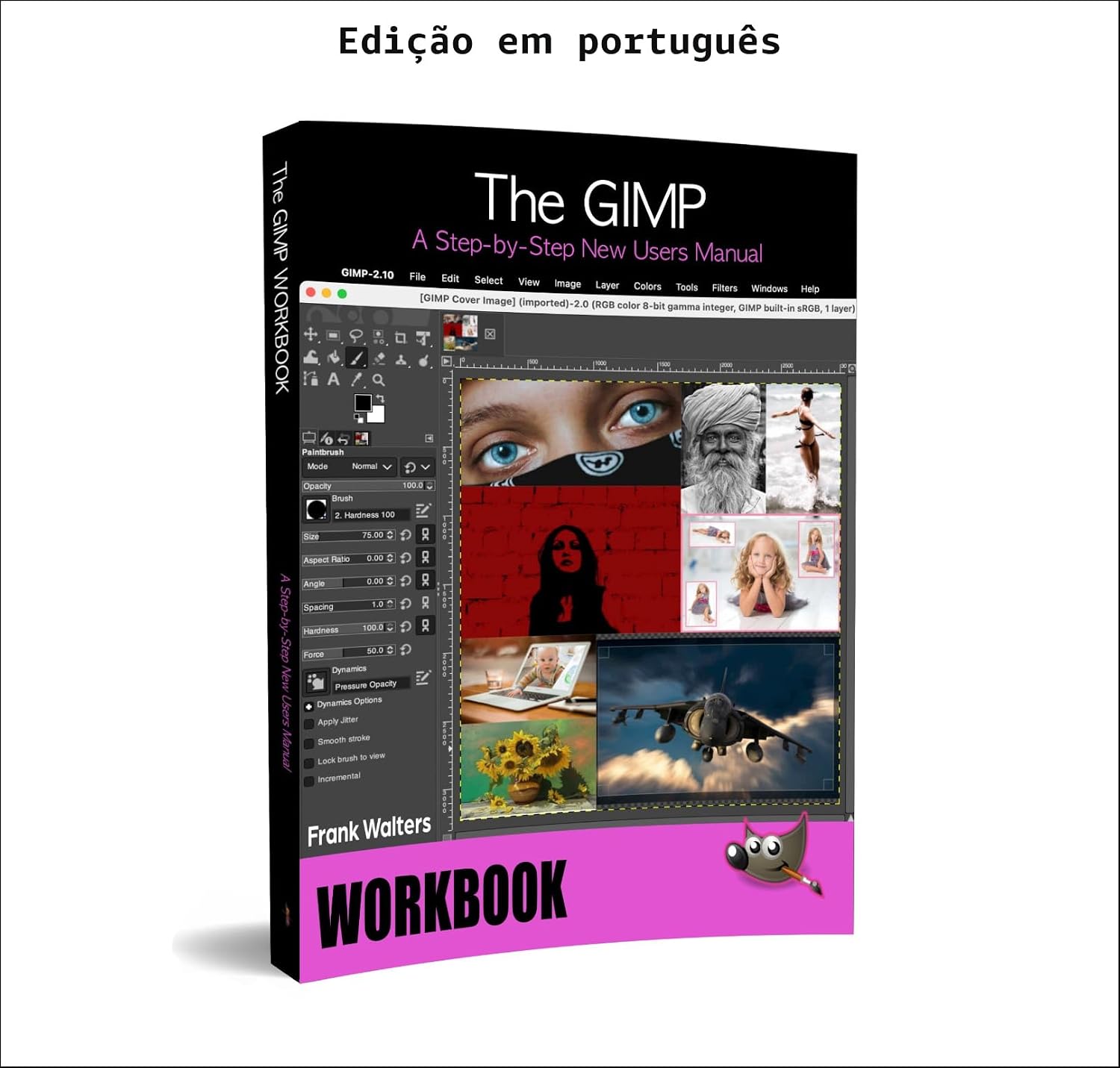 ler totalmente Manual prático do GIMP