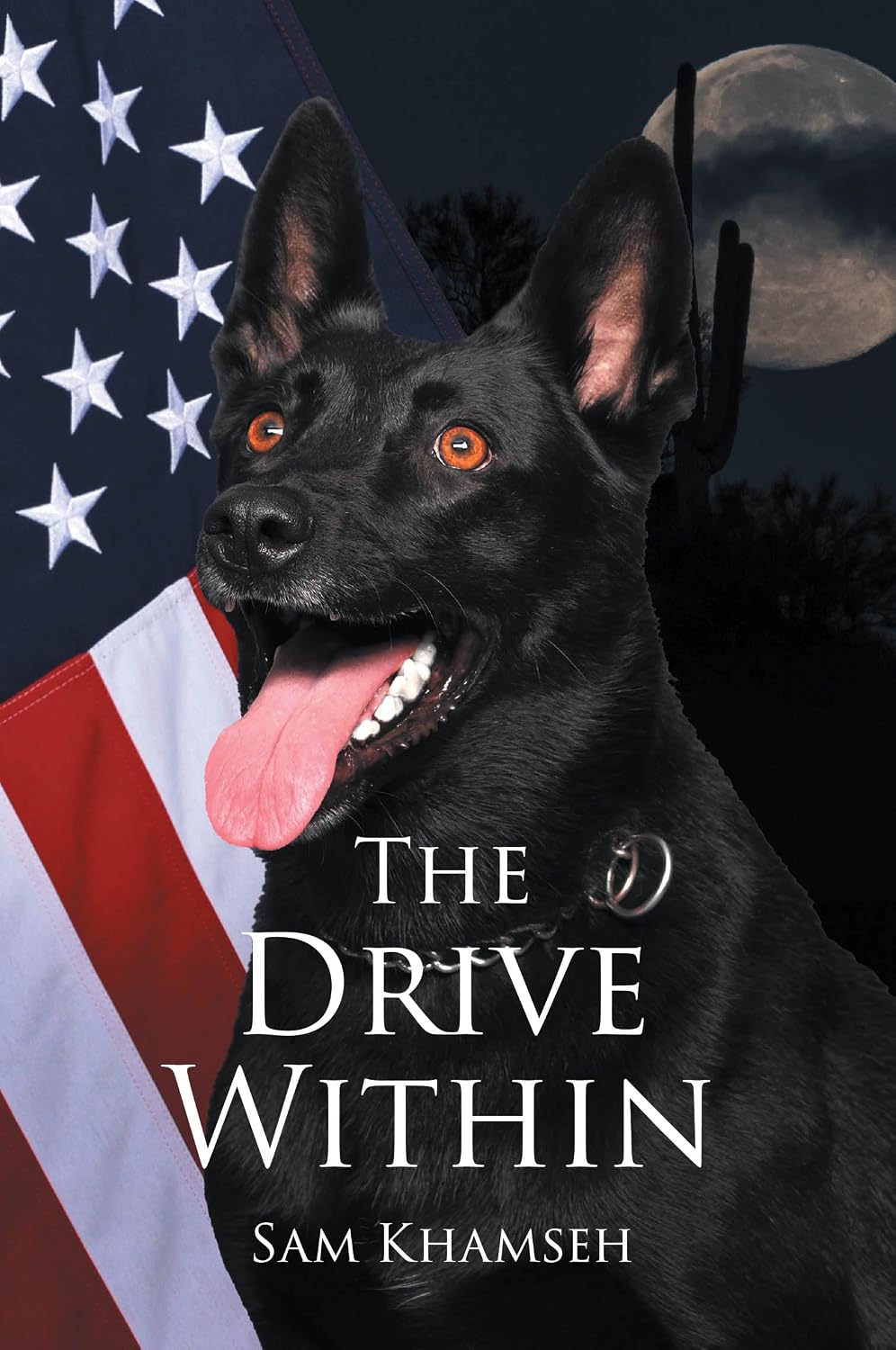ler totalmente The Drive Within (English Edition)