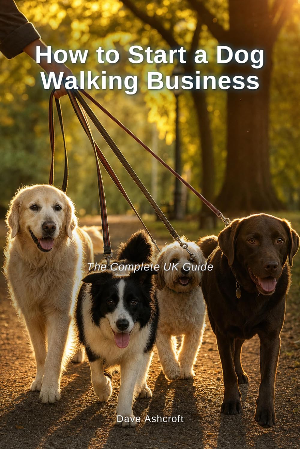 How to Start a Dog Walking Business: The Complete UK Guide