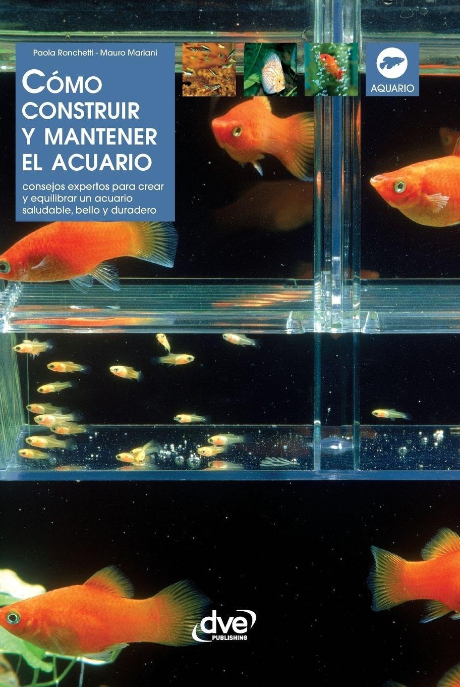capítulo por capítulo baixar Cómo construir y mantener el acuario: Consejos expertos para crear y equilibrar un acuario saludable, bello y duradero