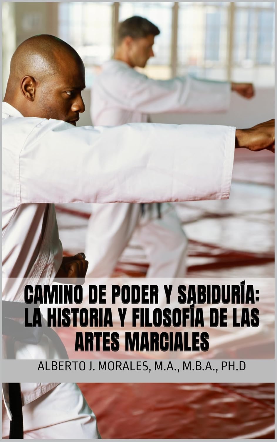 capítulo por capítulo baixar CAMINO DE PODER Y SABIDURÍA: LA HISTORIA Y FILOSOFÍA DE LAS ARTES MARCIALES: LAS ARTES MARCIALES (Spanish Edition)