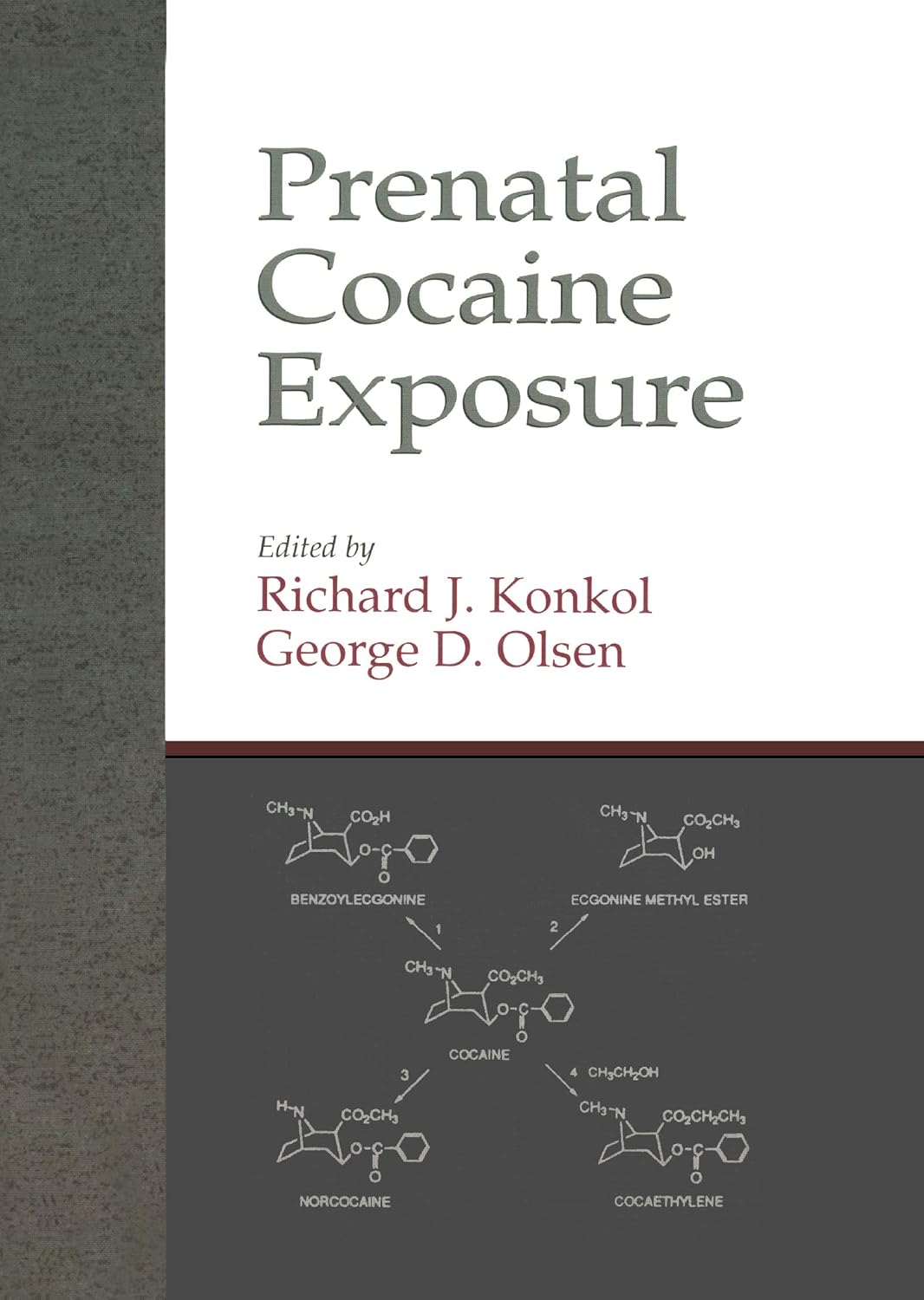 ler totalmente Prenatal Cocaine Exposure (English Edition)