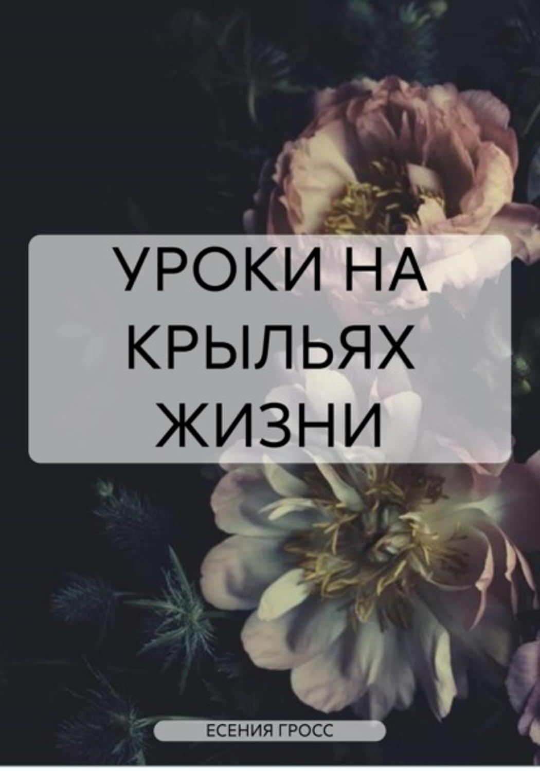 УРОКИ НА КРЫЛЬЯХ ЖИЗНИ (Russian Edition)