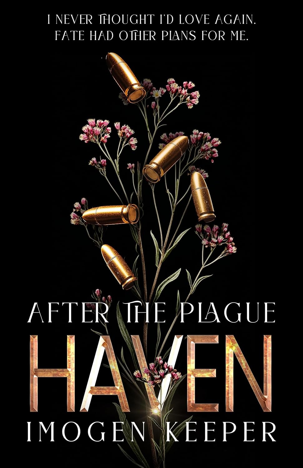 Haven: Love After the Apocalypse (After the Plague Book 5) (English Edition) baixar livro de graça