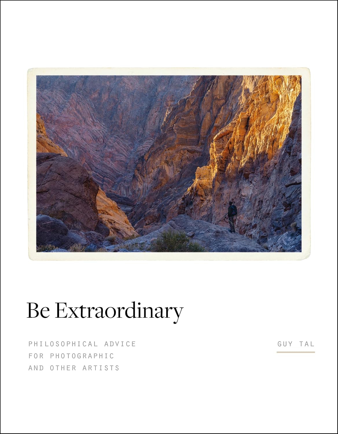 Be Extraordinary: Philosophical Advice for Photographic and Other Artists (English Edition)