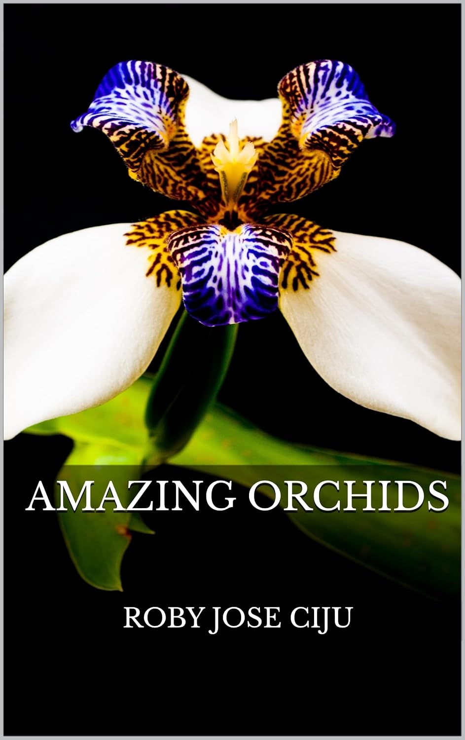 capítulo por capítulo baixar Amazing Orchids (Home Gardening Book 20) (English Edition)