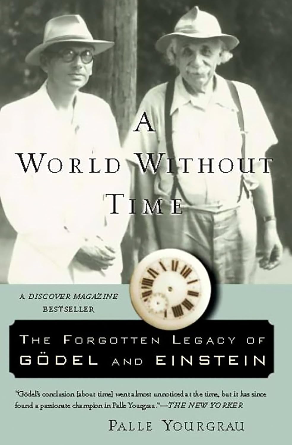 ler totalmente A World Without Time: The Forgotten Legacy of Godel and Einstein