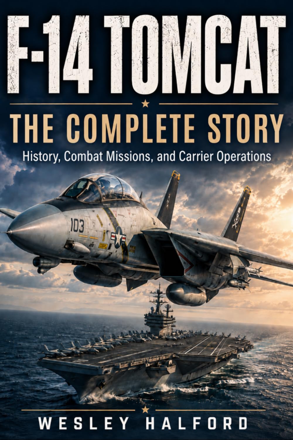 F-14 TOMCAT: THE COMPLETE STORY: History, Combat Missions, and Carrier Operations (Legends of Combat Aviation) baixar livro de graça