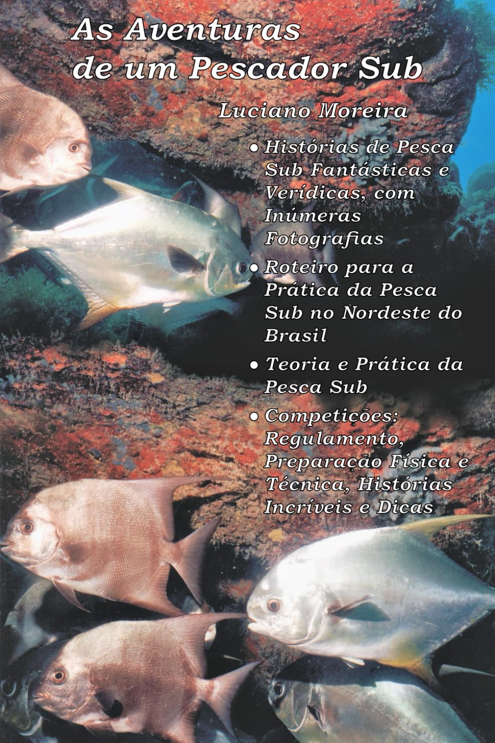AS AVENTURAS DE UM PESCADOR UB (LUCIANO MOREIRA DE SOUSA FILHO) (Portuguese Edition) baixar o livro de graça