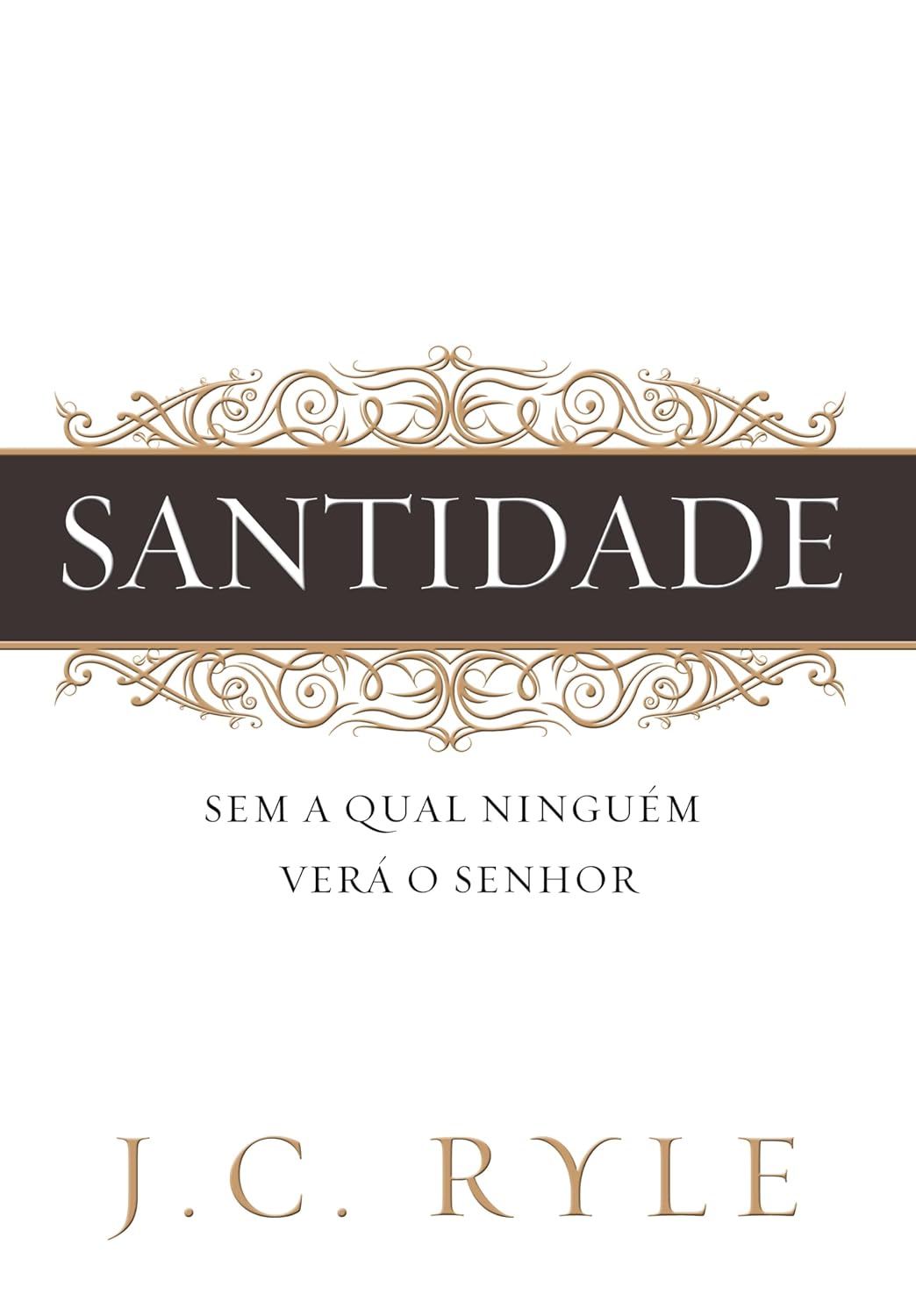 Santidade: Sem a qual ninguém verá ao Senhor baixar o livro de graça