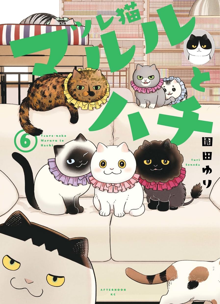 Maruru e hachi: os gatinhos companheiros 06 baixar o livro de graça