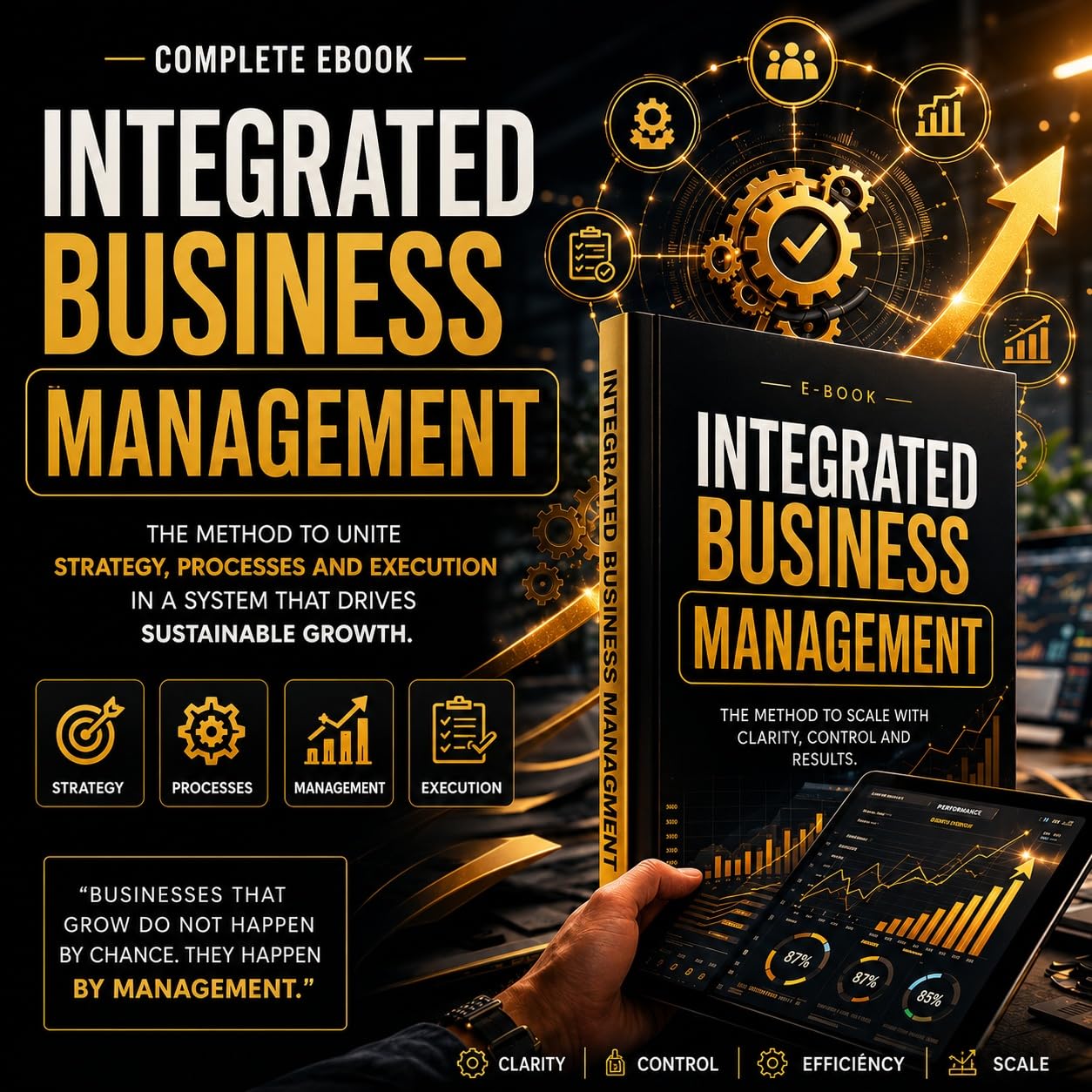 Integrated Business Management (English Edition) baixar o livro de graça