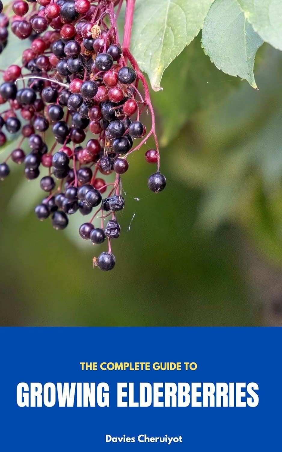 THE COMPLETE GUIDE TO GROWING ELDERBERRIES (Fruits farming) (English Edition) baixar livro de graça
