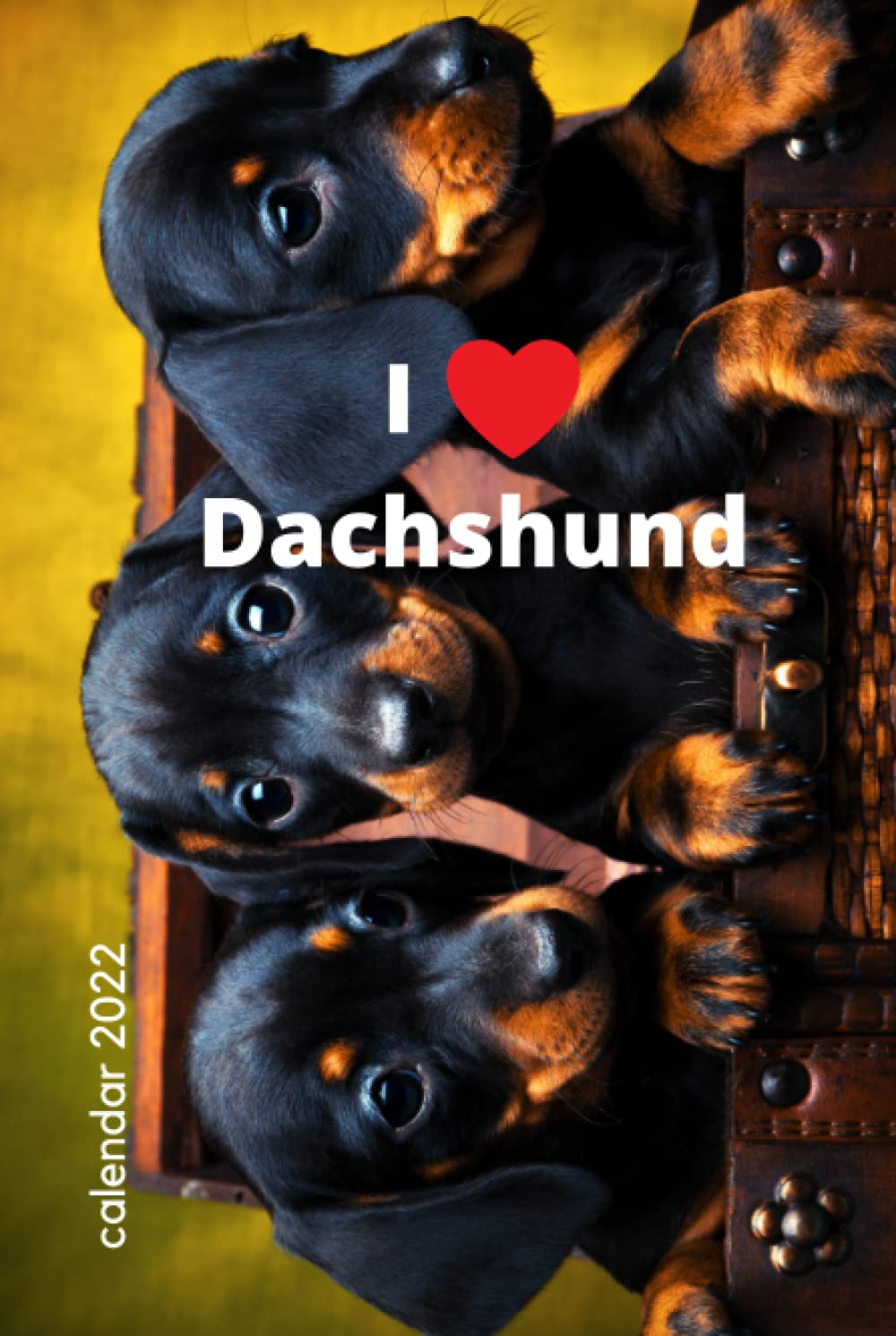 capítulo por capítulo baixar I love Dachshund. Calendar 2022: For dog lovers for Christmas Covers|notebook |quarterly planner of my future dog training goals|diary for girls and... write words | year with best friend|puppies