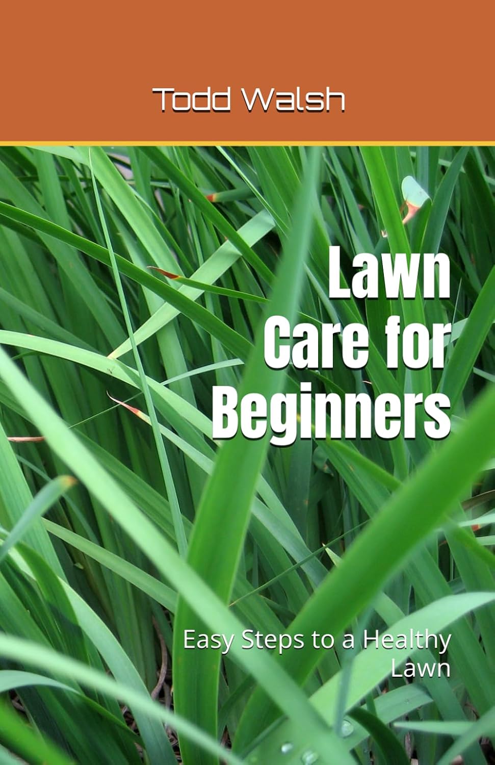 Lawn Care for Beginners: Easy Steps to a Healthy Lawn baixar o livro de graça