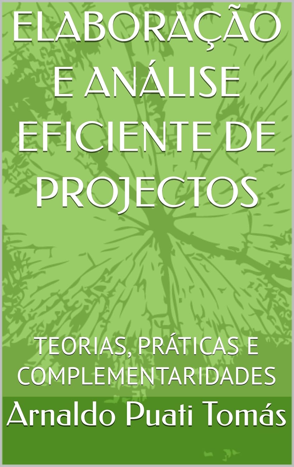 capítulo por capítulo baixar ELABORAÇÃO E ANÁLISE EFICIENTE DE PROJECTOS: TEORIAS, PRÁTICAS E COMPLEMENTARIDADES (Edições Académicas Arnaldo Puati Tomás)