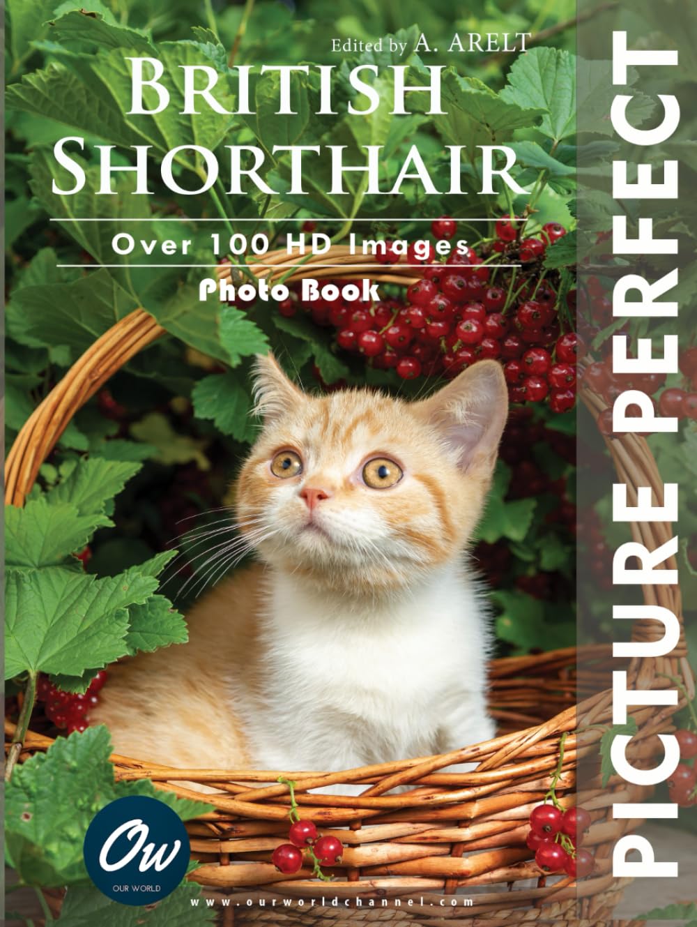 British Shorthair: Picture Perfect Photo Book