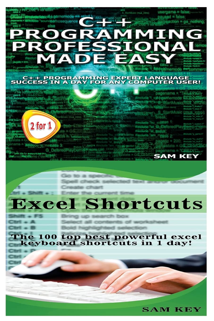 capítulo por capítulo baixar C++ Programming Professional Made Easy & Excel Shortcuts: 55