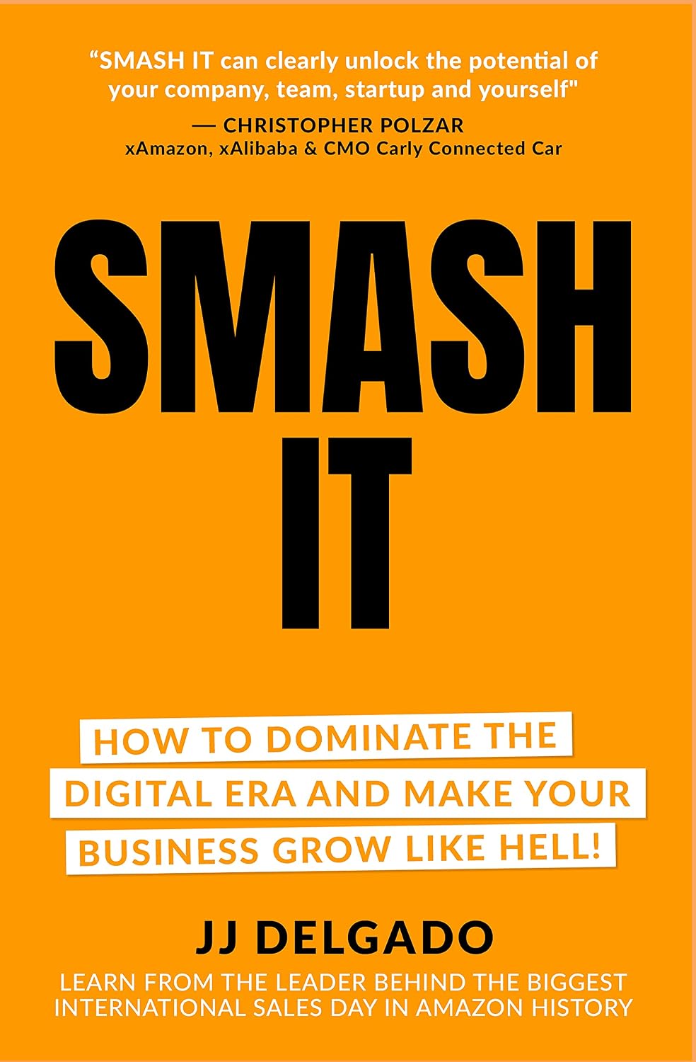 Smash It!: How to Dominate the Digital Era and Make Your Business Grow Like Hell! (English Edition) baixar livro de graça