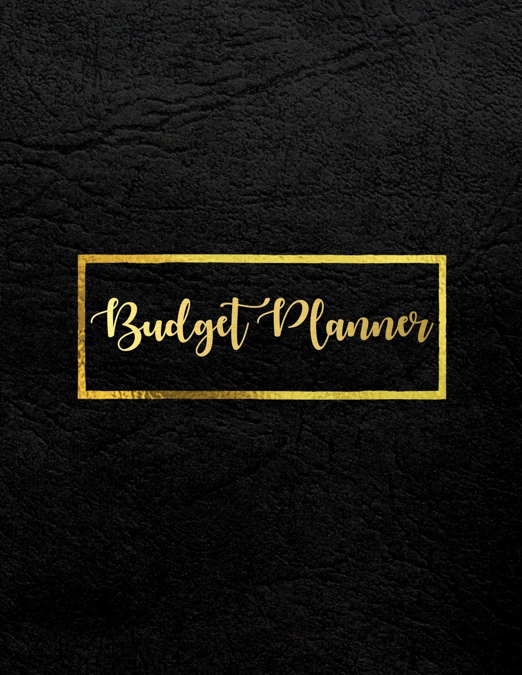 Budget Planner: Budget Planning, Planner Journal Notebook Finance Planner Money Organizer Debt Tracker baixar livro de graça