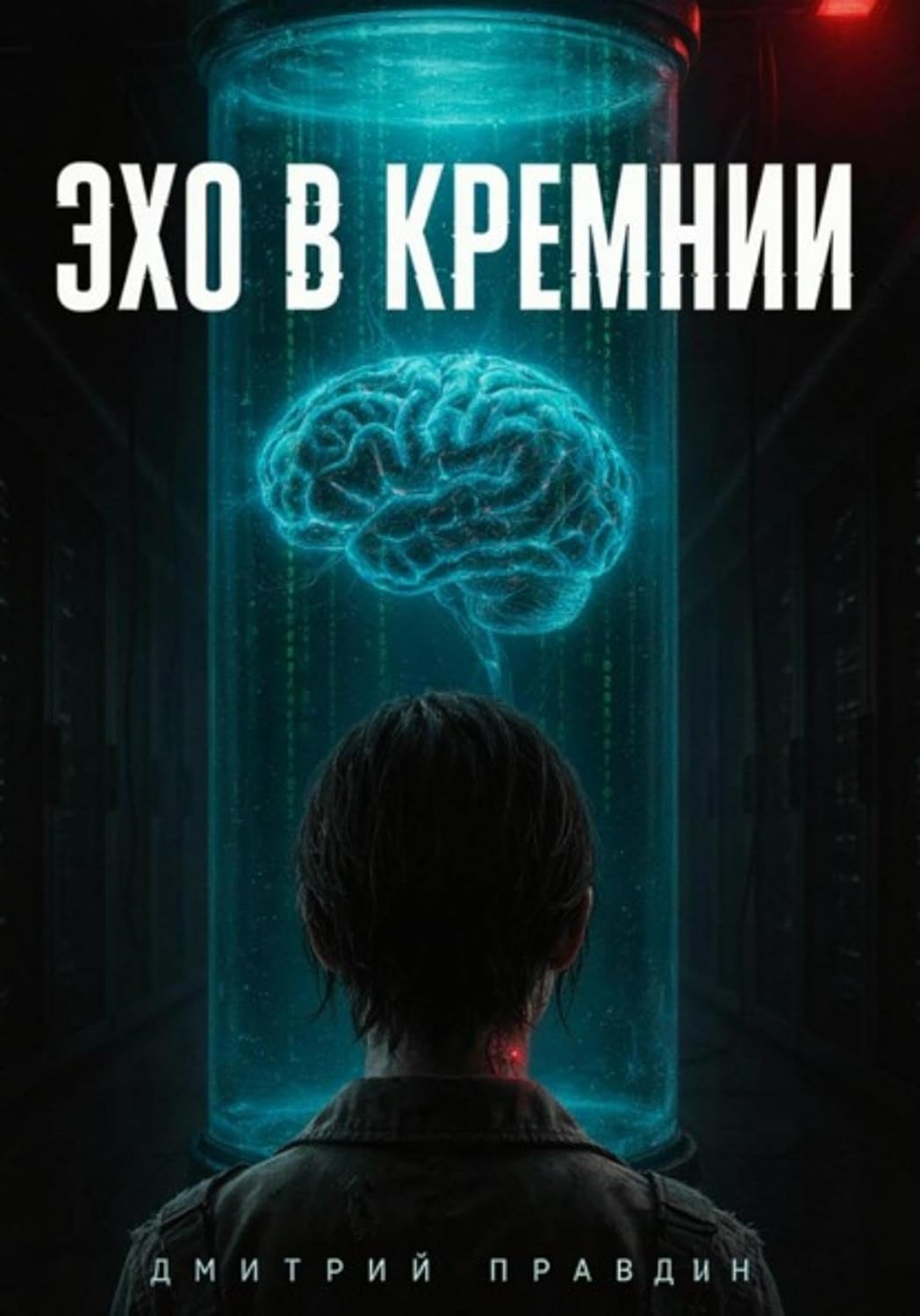 ЭХО В КРЕМНИИ (Russian Edition) baixar o livro de graça