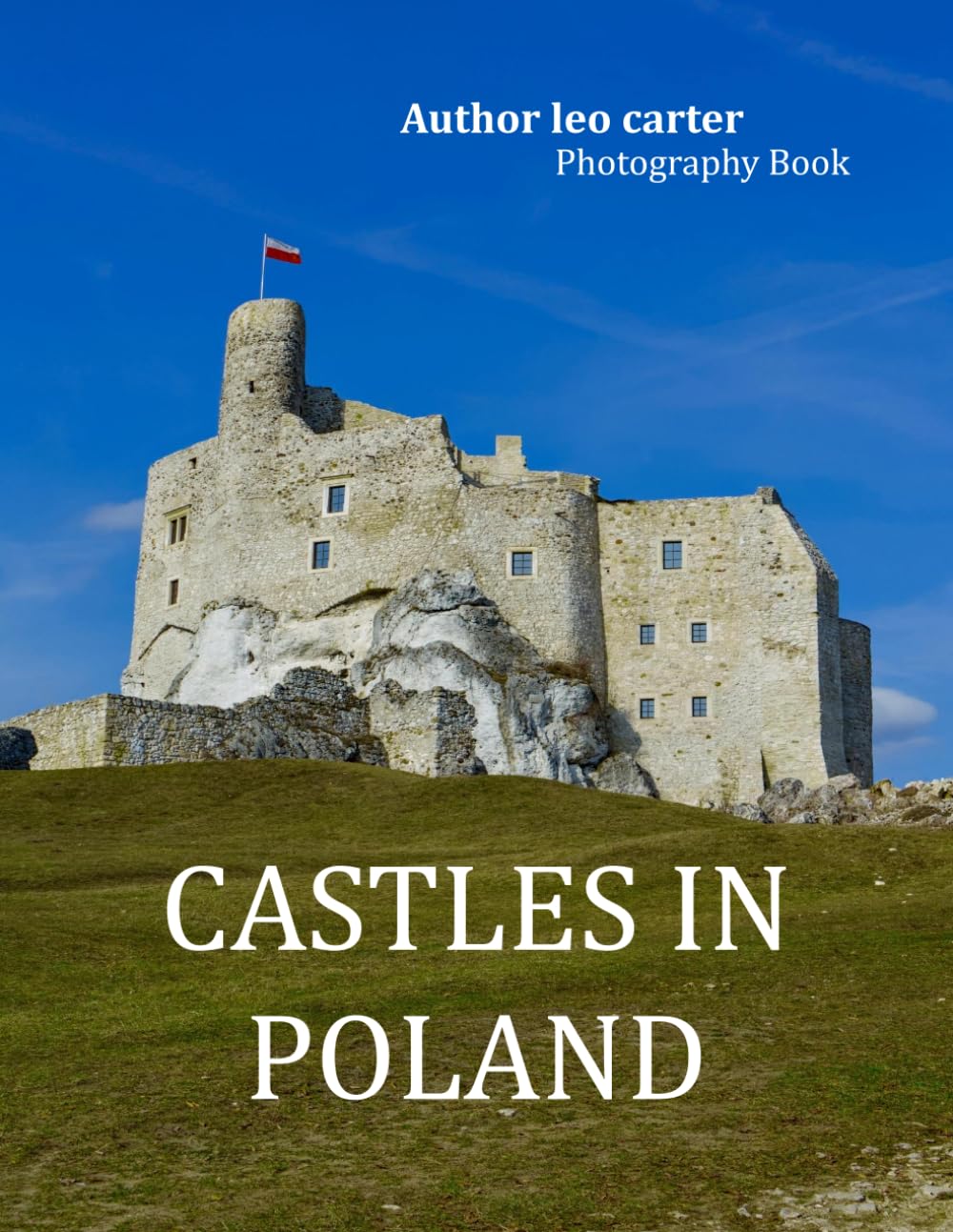 capítulo por capítulo baixar Castles In Poland: A Collection of 40 Scenic Photographs Showcasing the Castles In Poland