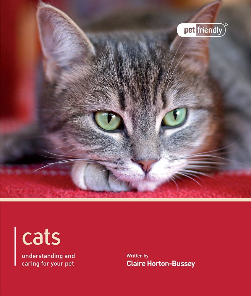 capítulo por capítulo baixar Cat