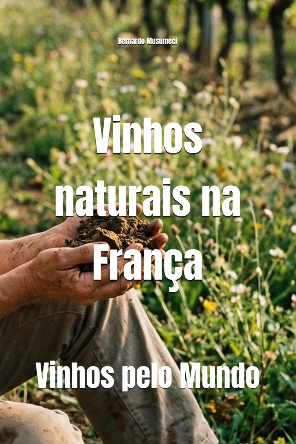 Vinhos naturais na França: Vinhos pelo Mundo (Wines of the World: France) (Portuguese Edition) baixar o livro de graça