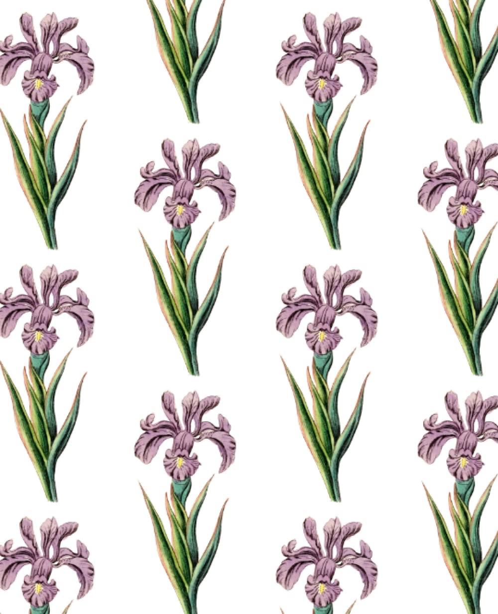 ler totalmente Vintage Wallpaper Purple Iris Composition Notebook - 120 Lined Pages, 7.5" x 9.25": Notebook for writing, study, journaling, logs, and recipes!