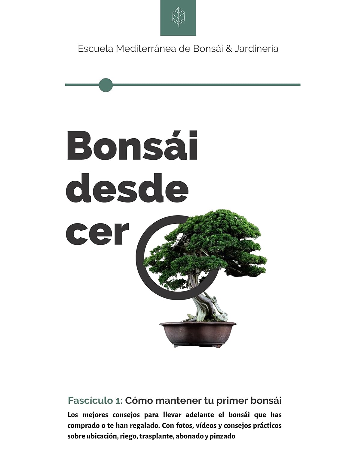 Bonsái desde Cero Fascículo1 (Spanish Edition) baixar livro de graça