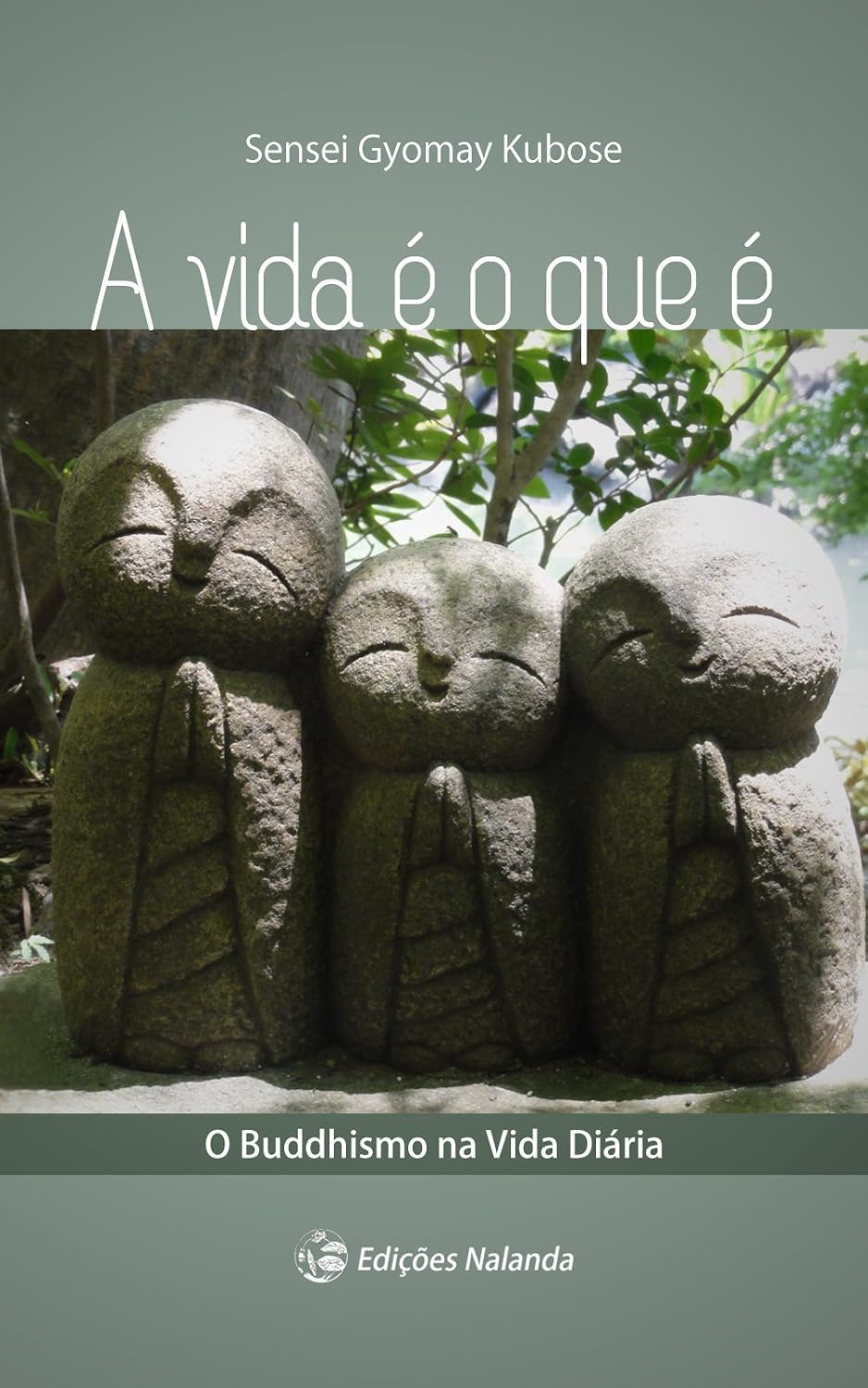 ler totalmente A Vida É O Que É: O Buddhismo na Vida Diária