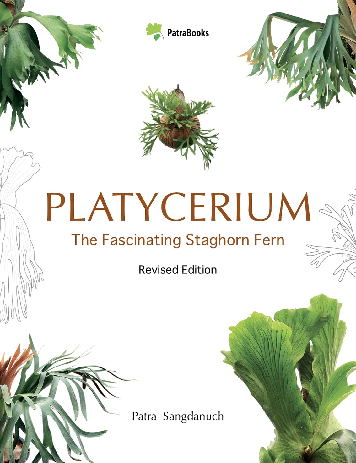 Platycerium: The Fascinating Staghorn Fern: A Collector’s Guide to Staghorn Ferns: Species, Hybrids & Cultivars (Staghorn Fern (Platycerium) Complete Guides) (English Edition) baixar livro de graça
