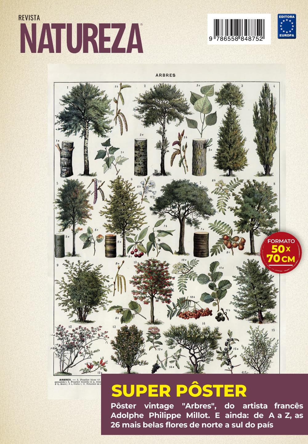 ler totalmente Adolphe Philippe Millot: Arbres 2 - Superpôster Natureza