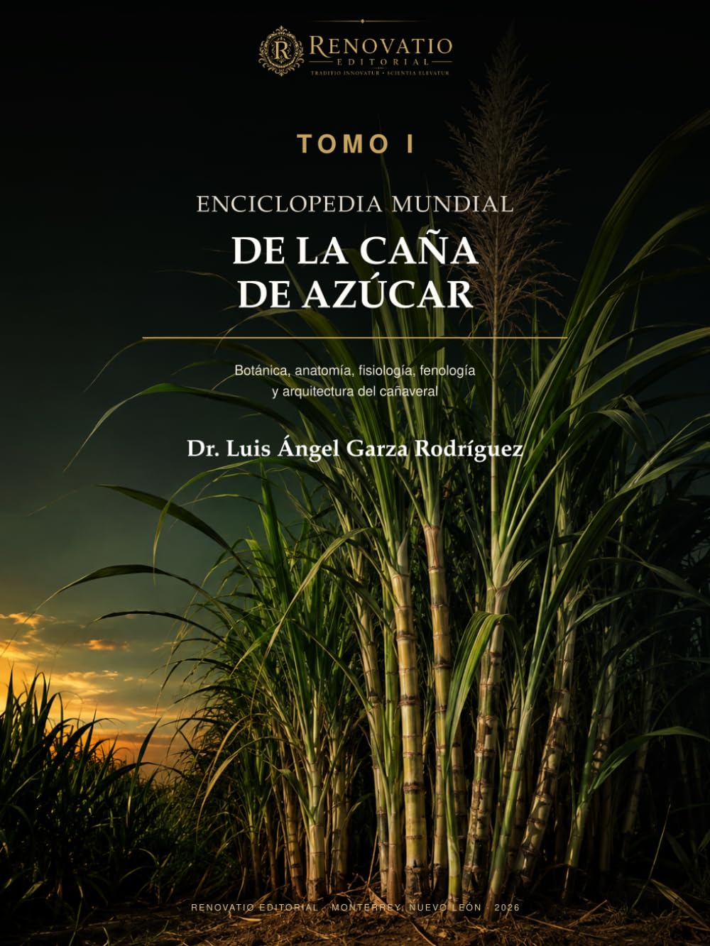 Enciclopedia Mundial de la Caña de Azúcar. Tomo I: Botánica, anatomía, fisiología, fenología y arquitectura del cañaveral (Spanish Edition) baixar o livro de graça