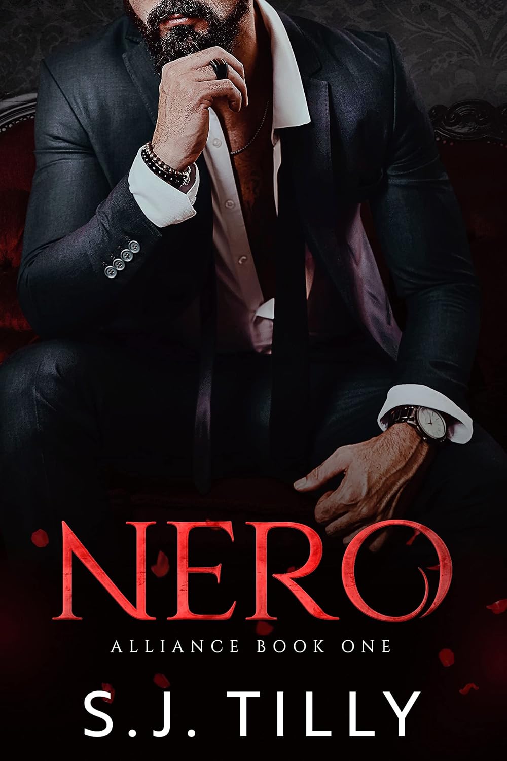 NERO: Alliance Series Book One (English Edition) baixar livro de graça