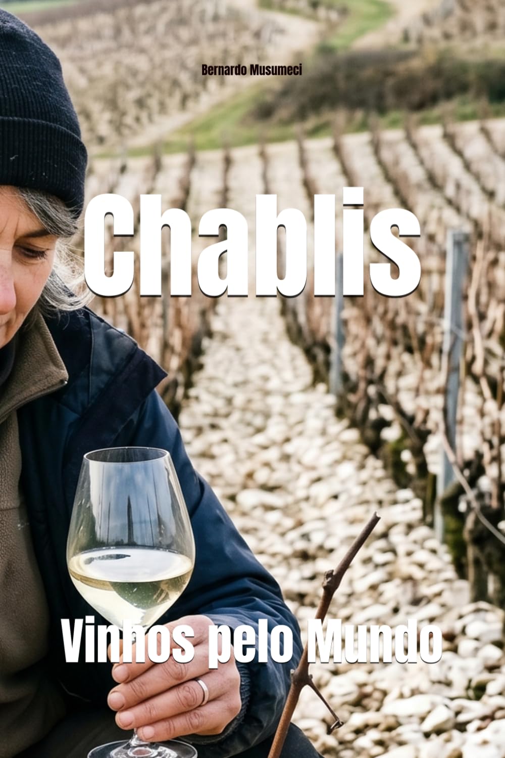 Vinhos pelo Mundo: Chablis (Portuguese Edition) baixar livro de graça