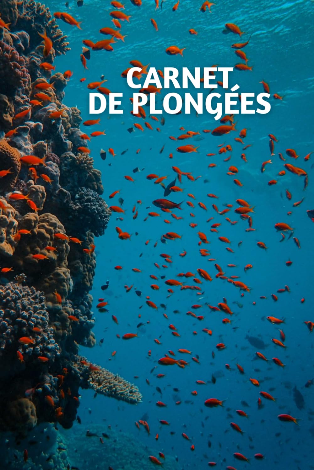 Carnet de Plongées et Exploration sous marine. Noter, Analyser, Conserver.: Journal pour 90 plongées à noter en détail – Papier 74-90 g/m2 –... écrire, planifier et créer) (French Edition) baixar o livro de graça