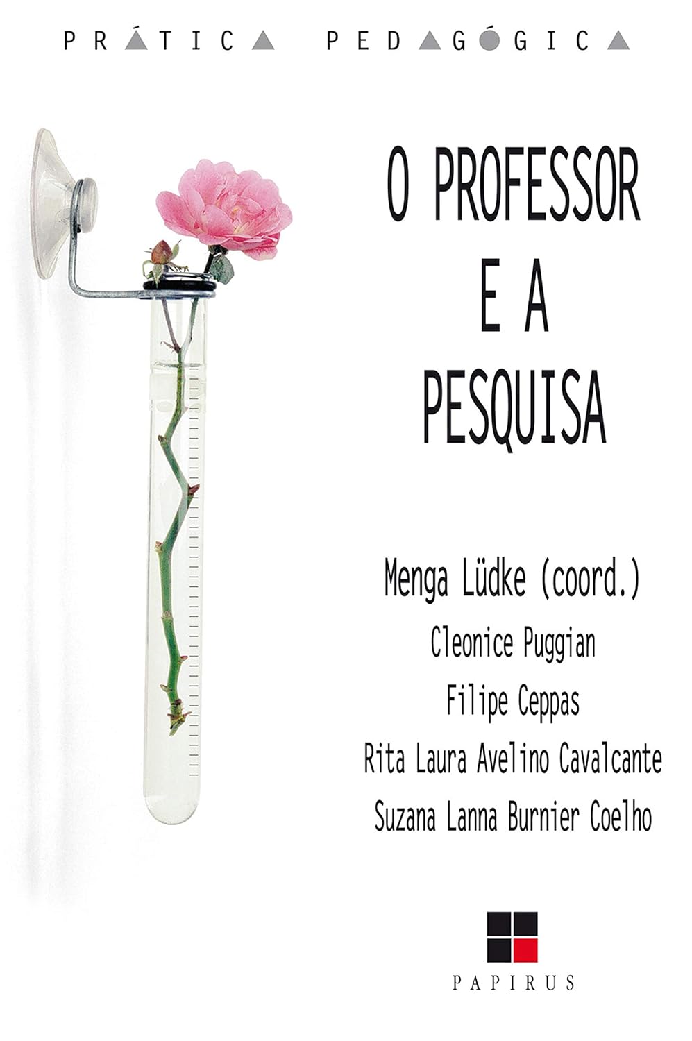 O Professor e a pesquisa (Prática pedagógica) baixar livro de graça