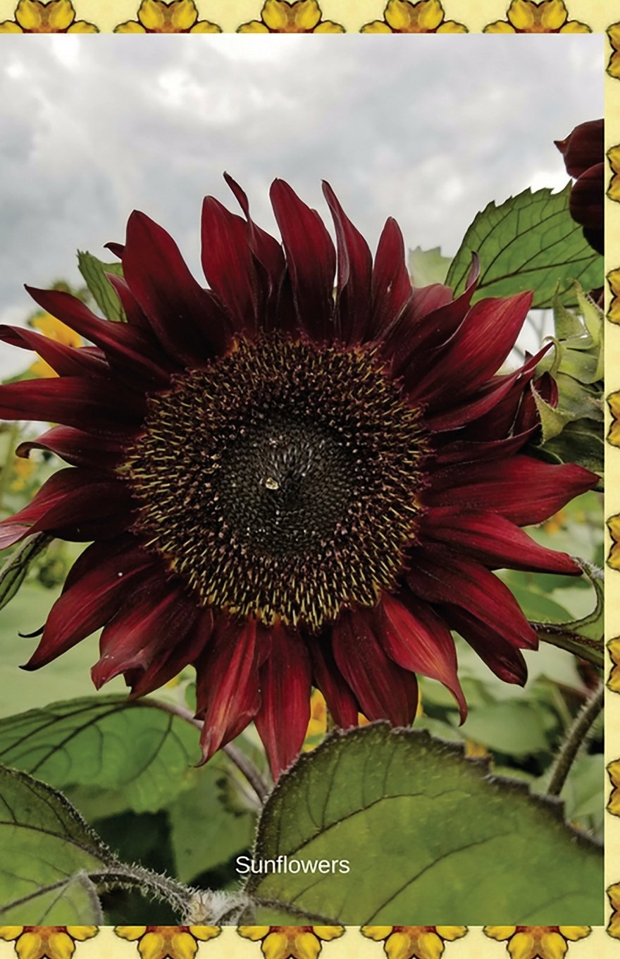 Sunflowers: Journal/Planner