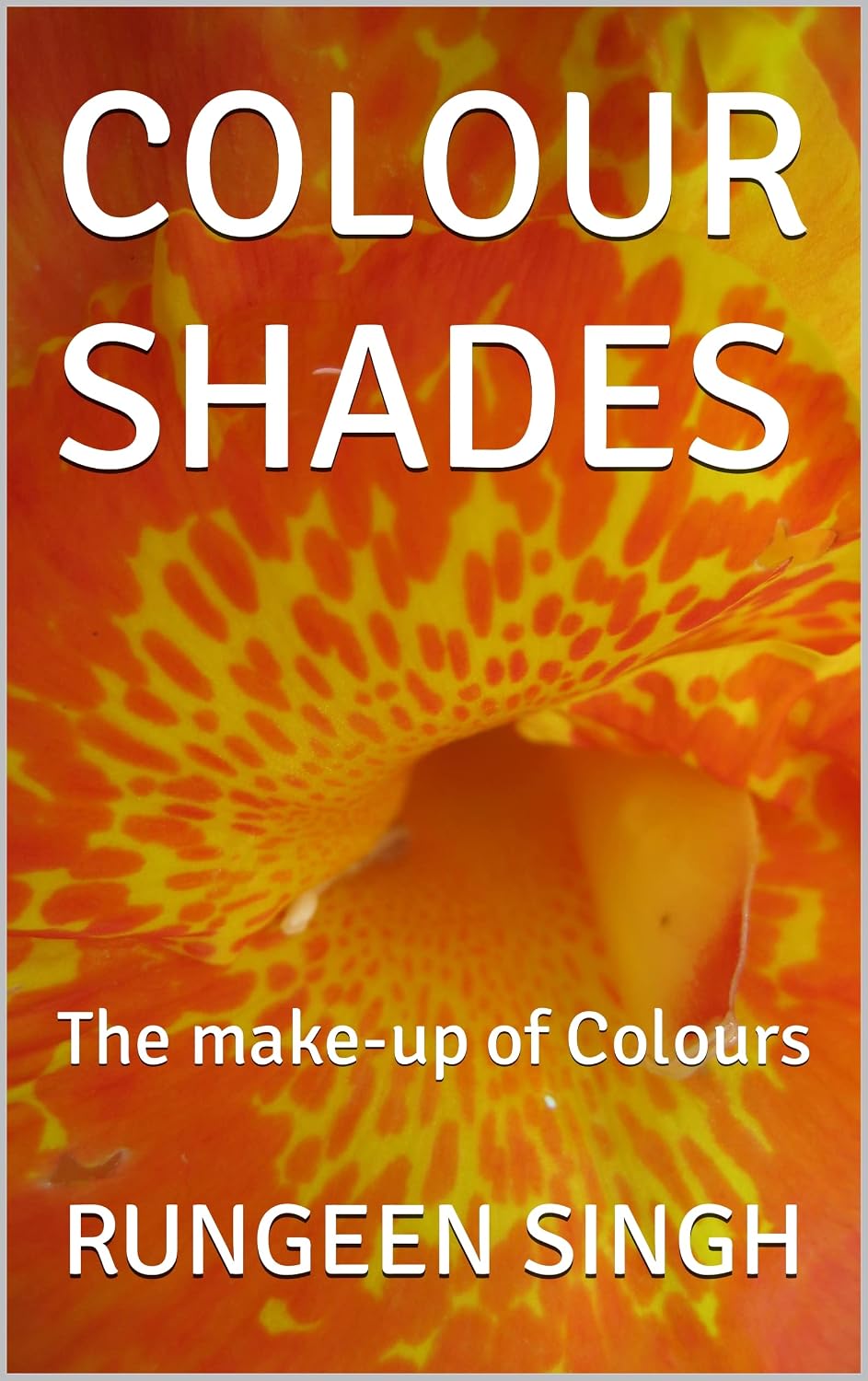 ler totalmente COLOUR SHADES: The make-up of Colours (English Edition)