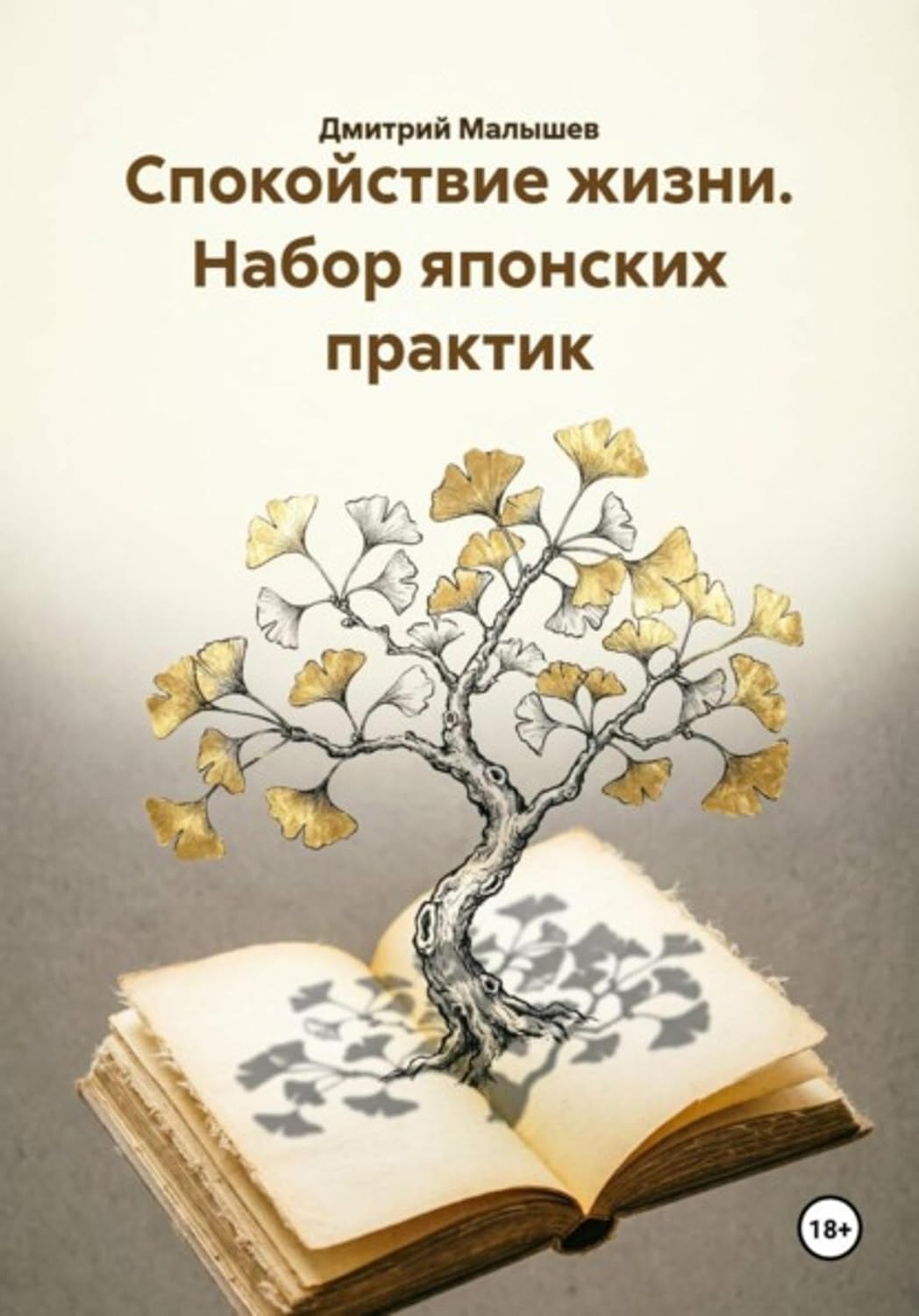 Спокойствие жизни. Набор японских практик (Russian Edition) baixar o livro de graça