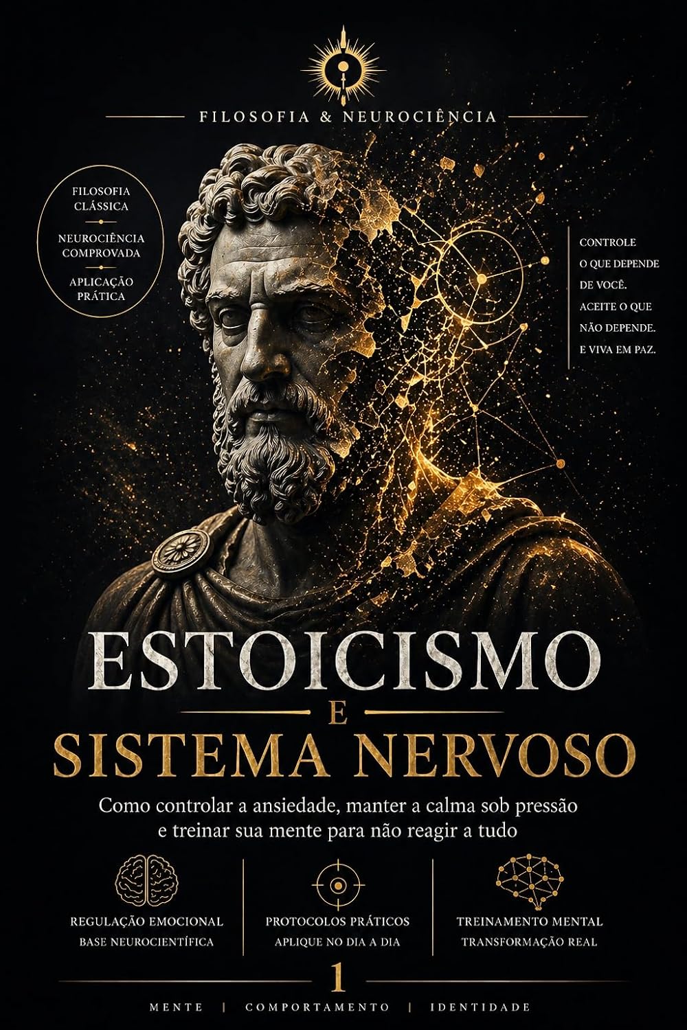 Estoicismo e Sistema Nervoso: Como controlar a ansiedade, manter a calma sob pressão e treinar sua mente para não reagir a tudo (FILOSOFIA & NEUROCIÊNCIA Livro 1) baixar livro de graça