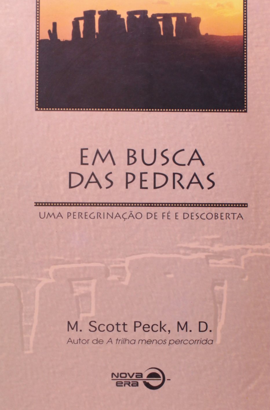 Em Busca Das Pedras baixar livro de graça