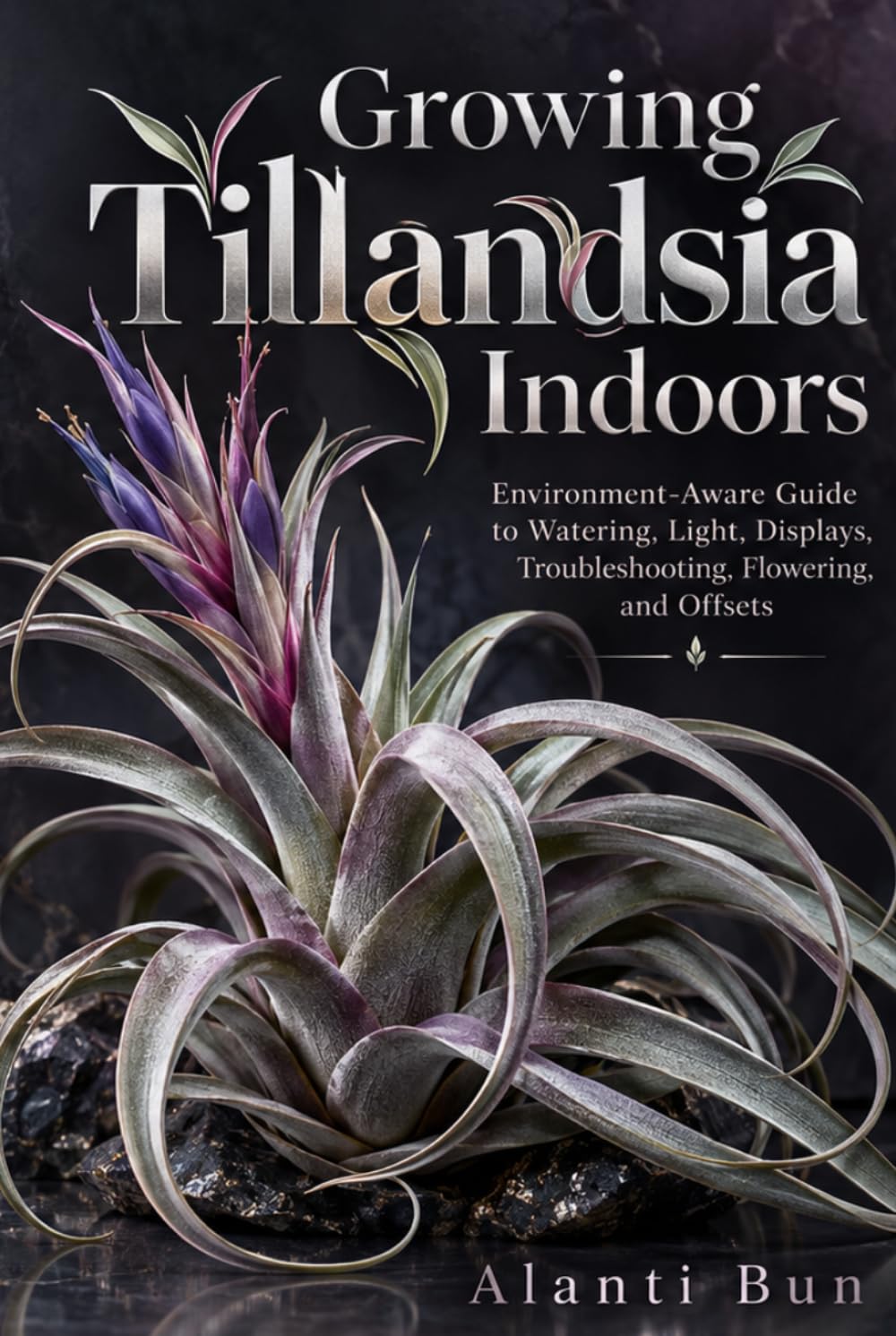 Growing Tillandsia Indoors: Environment-Aware Guide to Watering, Light, Displays, Troubleshooting, Flowering, and Offsets