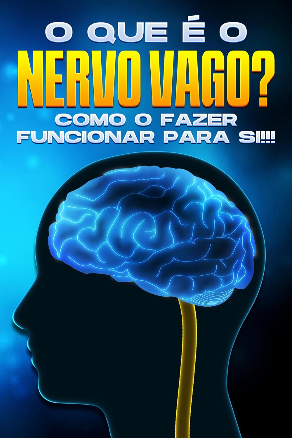 ler totalmente O que é o nervo vago?: Como o fazer funcionar para si!!
