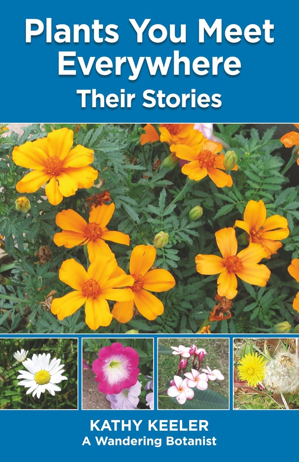 Plants You Meet Everywhere: Their Stories baixar o livro de graça