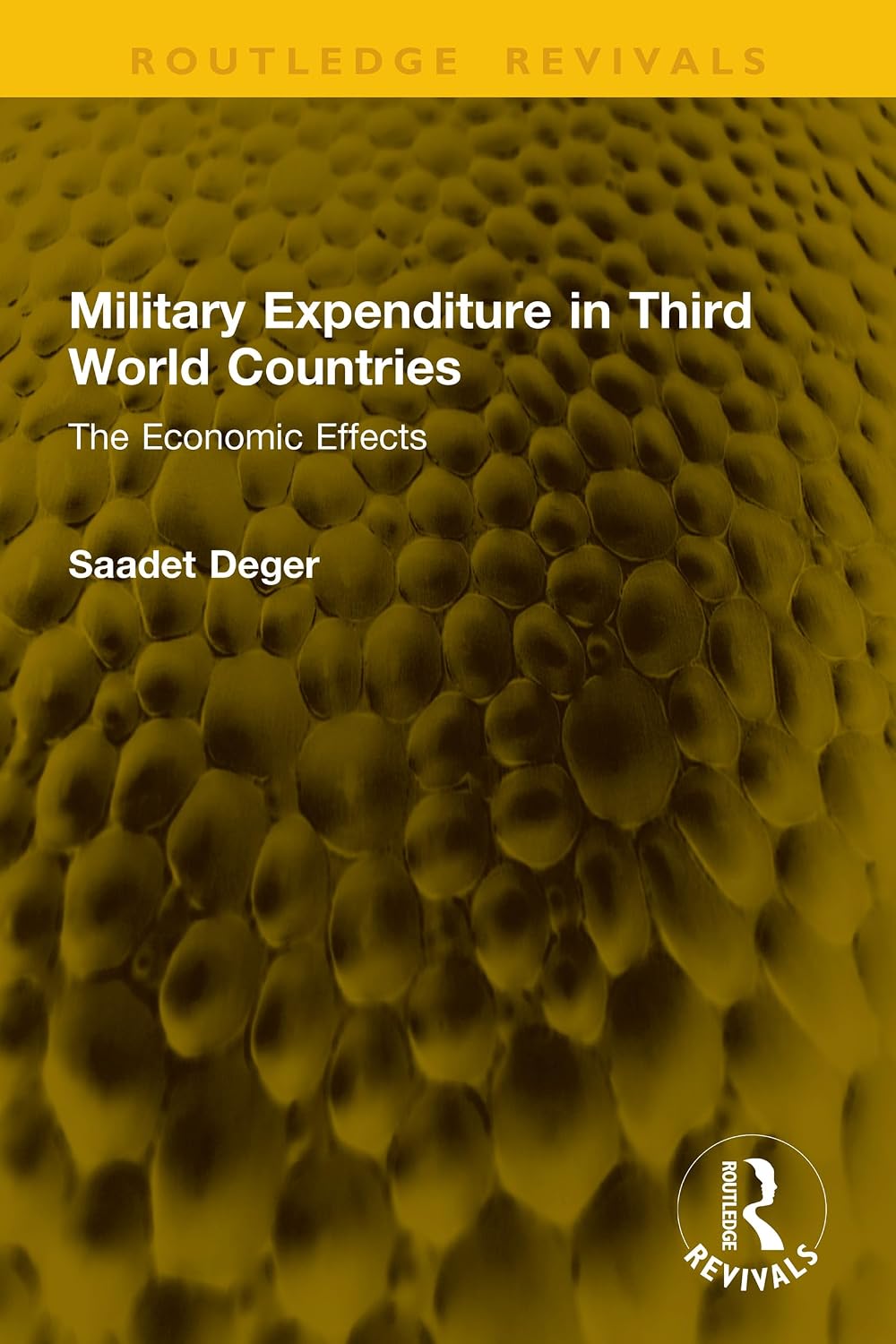 Military Expenditure in Third World Countries: The Economic Effects (Routledge Revivals) (English Edition)